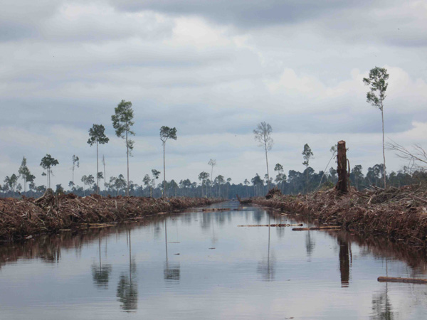 aktivis lingkungan mendesak Roger