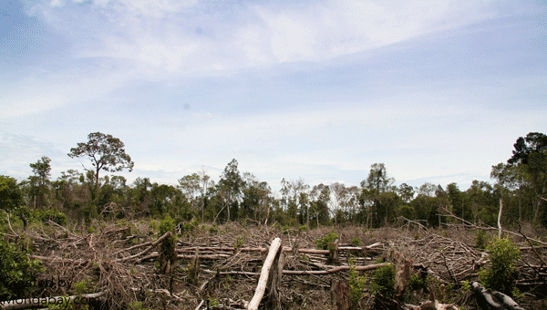 citra satelit beresolusi tinggi