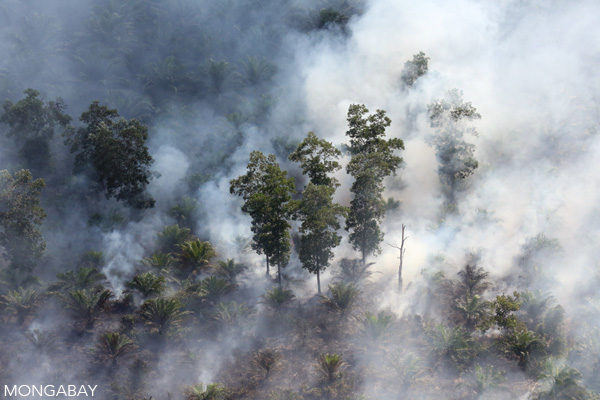 Kenaikan permukaan laut global