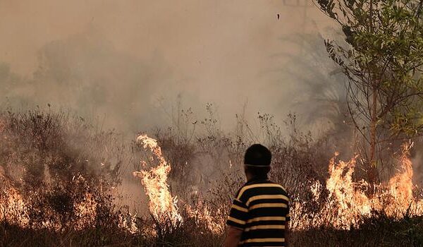 kabut asap Asia Tenggara