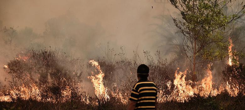 kabut asap Asia Tenggara
