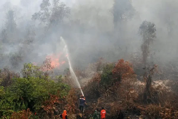 Pemerintah Indonesia mendenda perusahaan