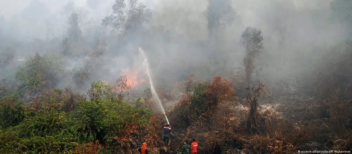Pemerintah Indonesia mendenda perusahaan