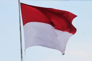 mereka membaca tentang Indonesia