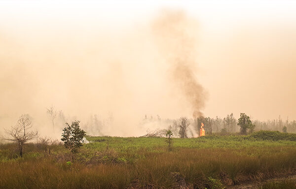 kebakaran melepaskan gas beracun