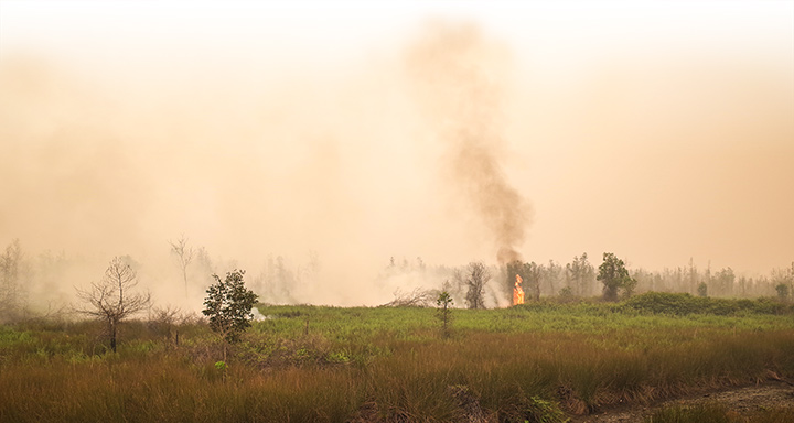 kebakaran melepaskan gas beracun