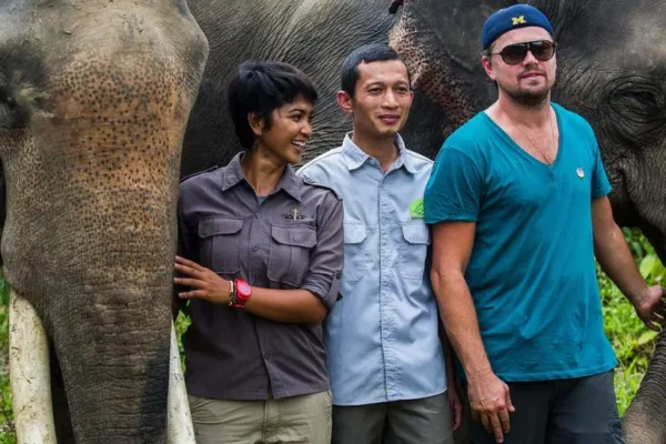 Menteri Lingkungan Hidup Kehutanan