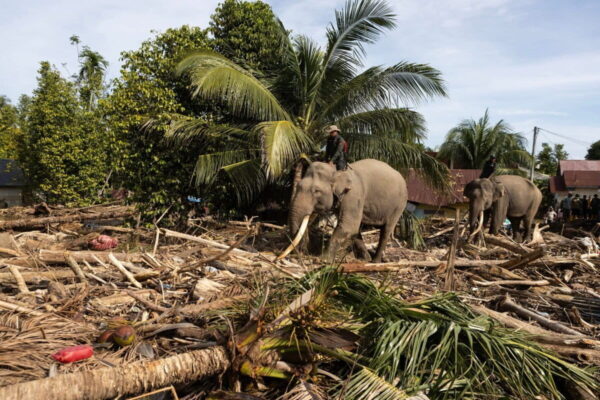 mimpi buruk kembali muncul
