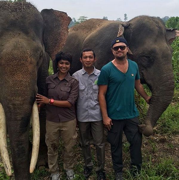 Leonardo D'Caprio sisi liarnya