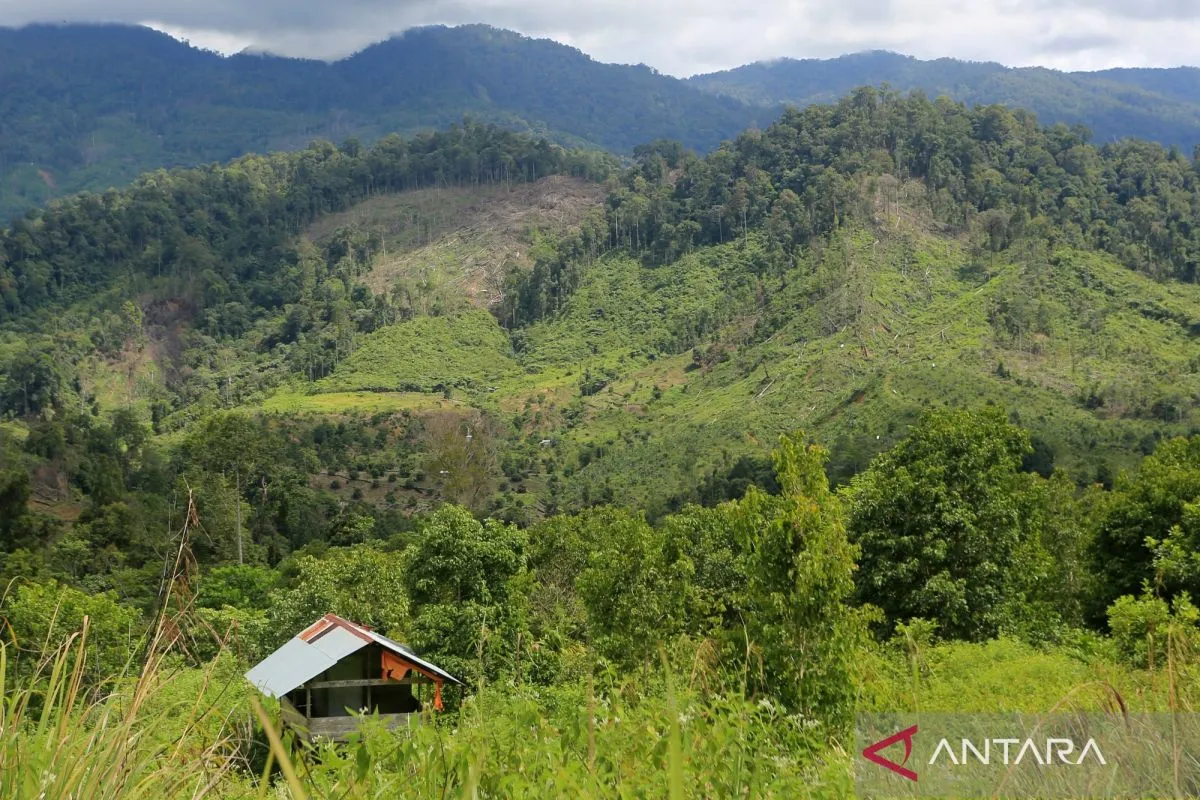 Satuan tugas kehutanan militer