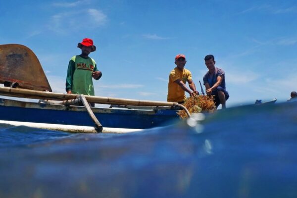 sekutu melawan perubahan iklim