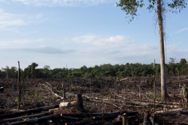 Sektor pembangunan menghadirkan tantangan