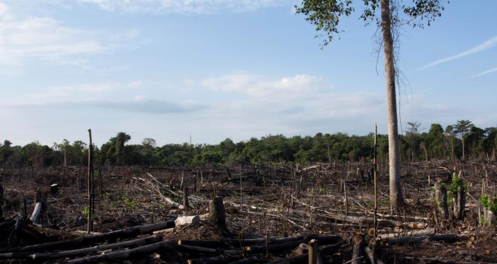 Sektor pembangunan menghadirkan tantangan