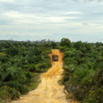 Kebijakan radikal merelokasi penduduk