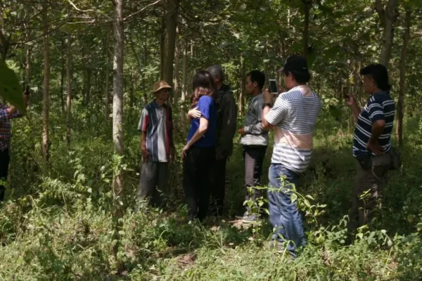 lokasi tengah hutan jati