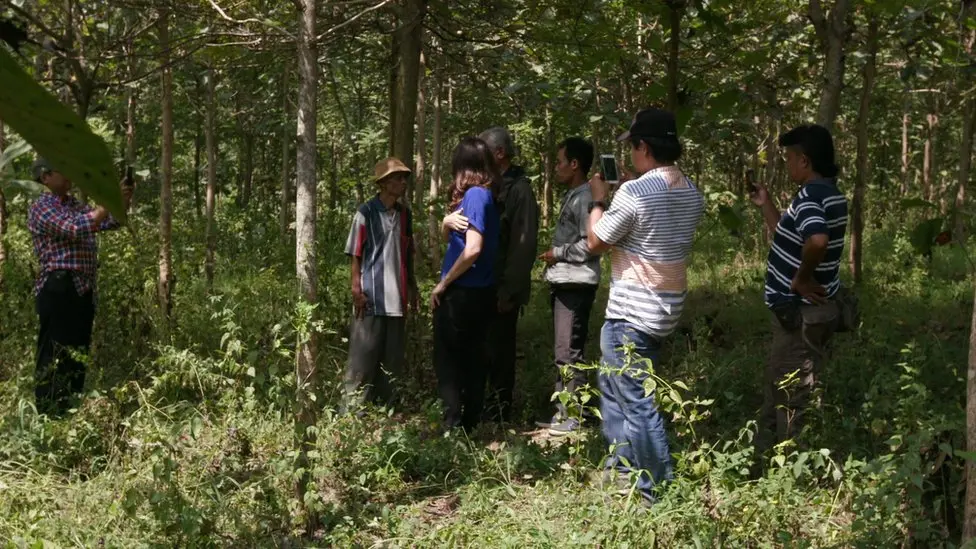 lokasi tengah hutan jati