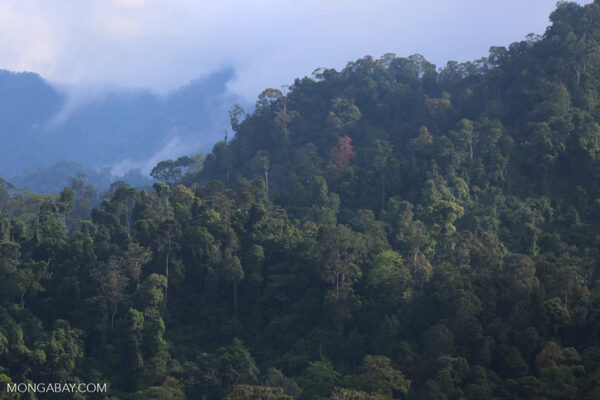 Mahkamah Agung menolak banding