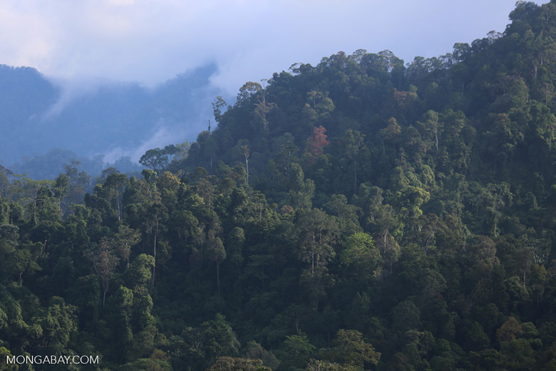 Mahkamah Agung menolak banding