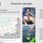 proses eutrofikasi menjadi masalah