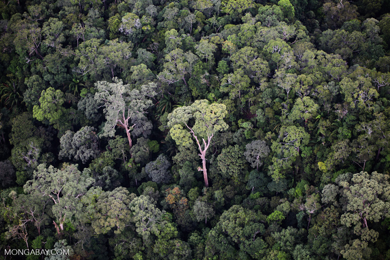 Sebuah komentar di jurnal