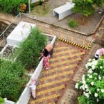 melangkah menyusuri jalan setapak