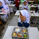 program makanan bergizi gratis