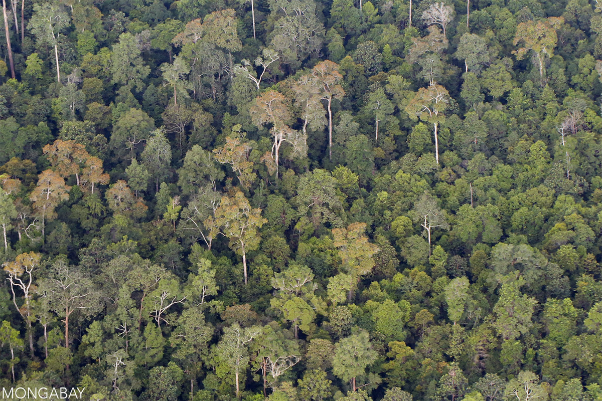 Penyelidikan KPK yang presiden