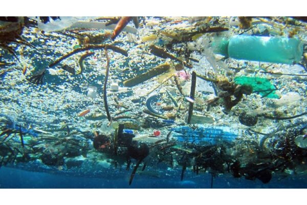 membayangkan dunia tanpa plastik