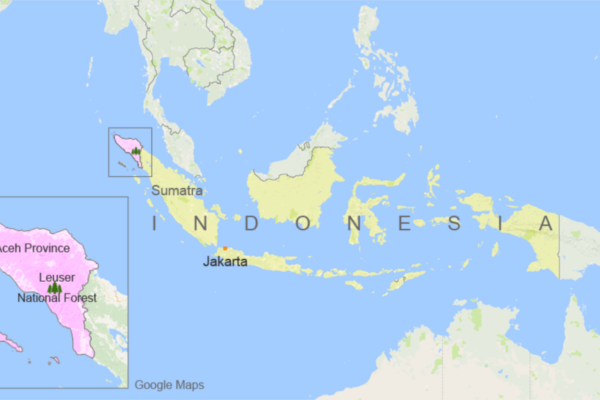 Hanya sedikit kawasan seperti