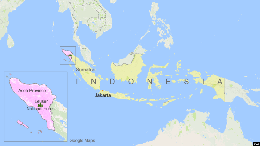 Hanya sedikit kawasan seperti