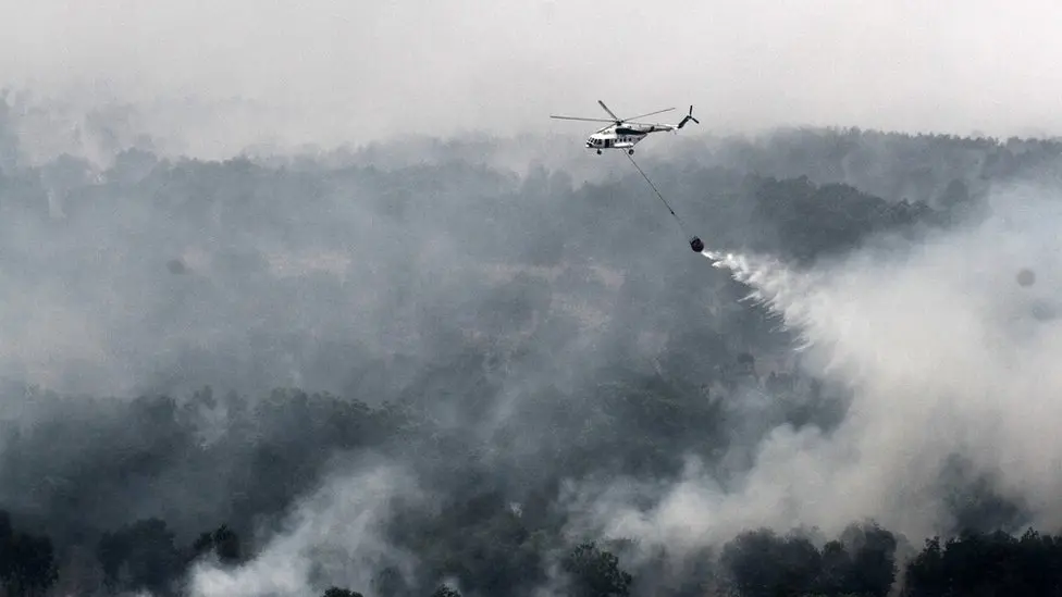 kabut asap dari kebakaran
