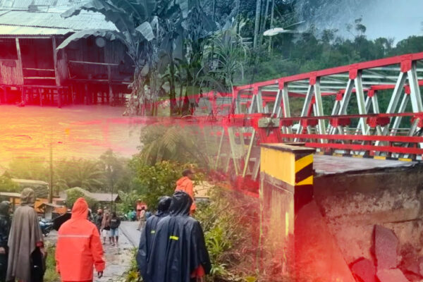 Warga Aceh Tamiang memanjat