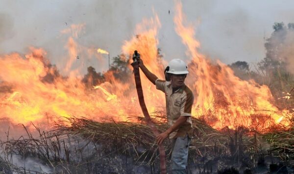 Badan Nasional Penanggulangan Bencana