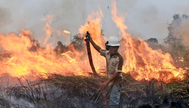 Badan Nasional Penanggulangan Bencana